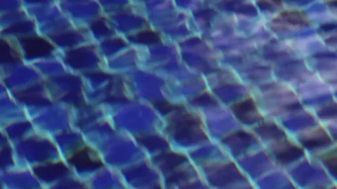 Swimming pool Stock Footage 73227316
