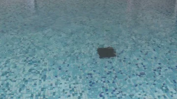 Swimming Pool Stock Footage 86111897