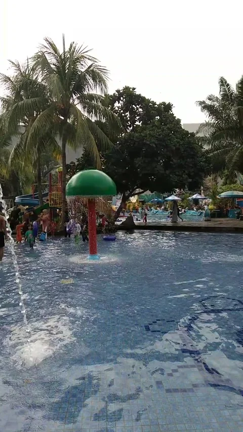 The swimming pool Stock Footage 244103848