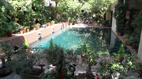 Swimming pool garden Stock Footage 51571526