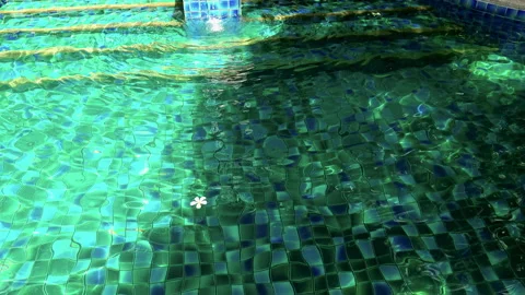 Swimming pool with green bottom Video stock 141158078