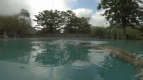 Swimming in a pool at a hot spring area at Mae Hong Son, Thailand Stock Footage 101241533