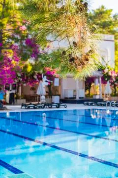 Swimming pool at hotel with bar. Empty hotel, palm trees, umbrellas. Stock Photos