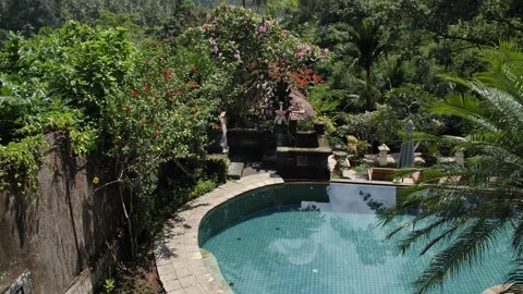 Swimming pool in the jungle 7 Stock Footage 260180885