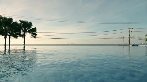 Swimming pool with palm tree Stockbeeldmateriaal 164728724