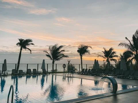 Swimming pool, palm trees around, An empty area with many sunbed Stock Photos