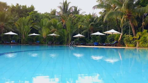 Swimming Pool With Palm Trees Stock Footage 48438015