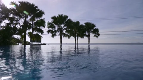 Swimming pool with palm trees Stockbeeldmateriaal 164728874