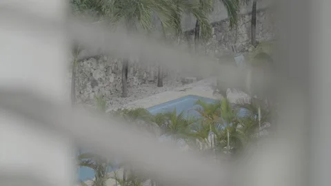 Swimming pool with palm trees peeping through the blinds slog 2 S-Gamut Stock Footage 225014464