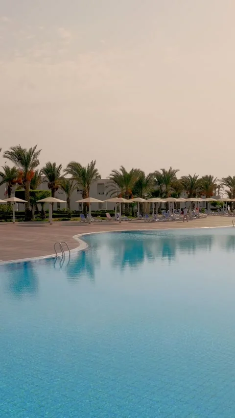 Swimming pool, palm trees, sun loungers with sun umbrellas. tropical landscape. Stock Footage 311997100