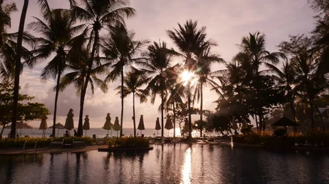 Swimming Pool with Palm Trees Time Lapse Video stock 56442959
