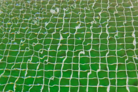 Swimming pool Stock Photos