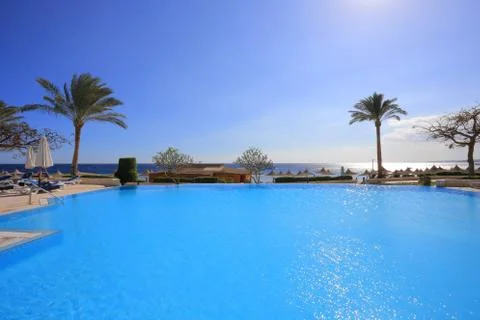 Swimming pool Фото