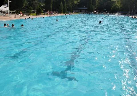 Swimming pool Stock Photos