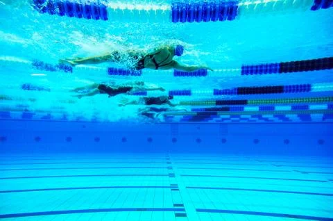 Swimming in a pool Stock Photos