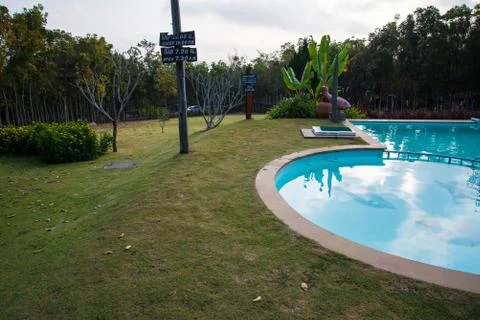 Swimming pool Stock Photos