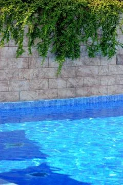 Swimming pool Stock Photos