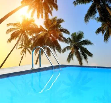 Swimming pool 写真素材