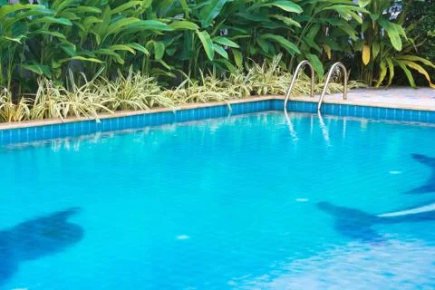 Swimming pool Stock Photos