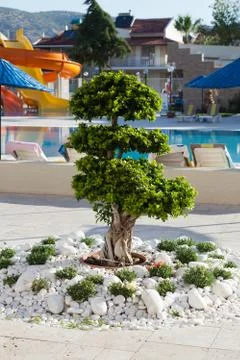 Swimming pool Stock Photos