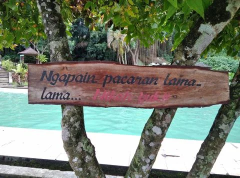 Swimming pool Stock Photos