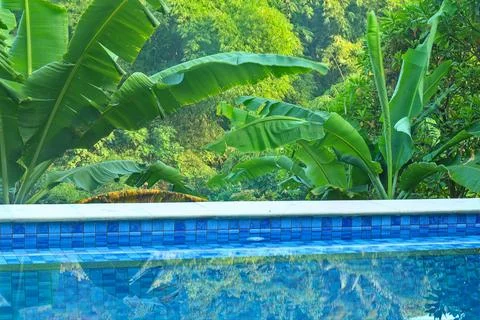 Swimming pool Stock Photos