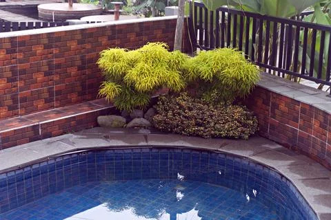 The swimming pool Stock Photos