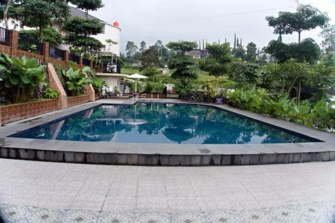 The swimming pool Stock Photos