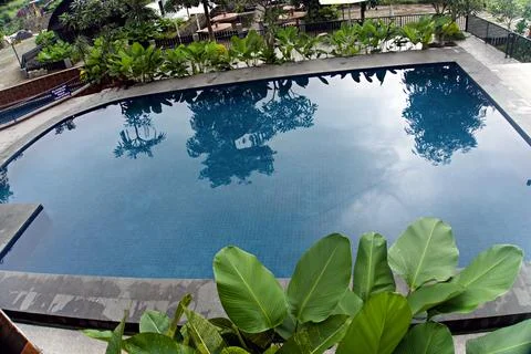 The swimming pool Stock Photos