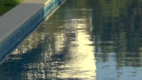 Swimming Pool Reflections Stock Footage 121266767