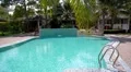 Swimming Pool in Resort with Coconut Palm Tree and Bungalows HD Footage