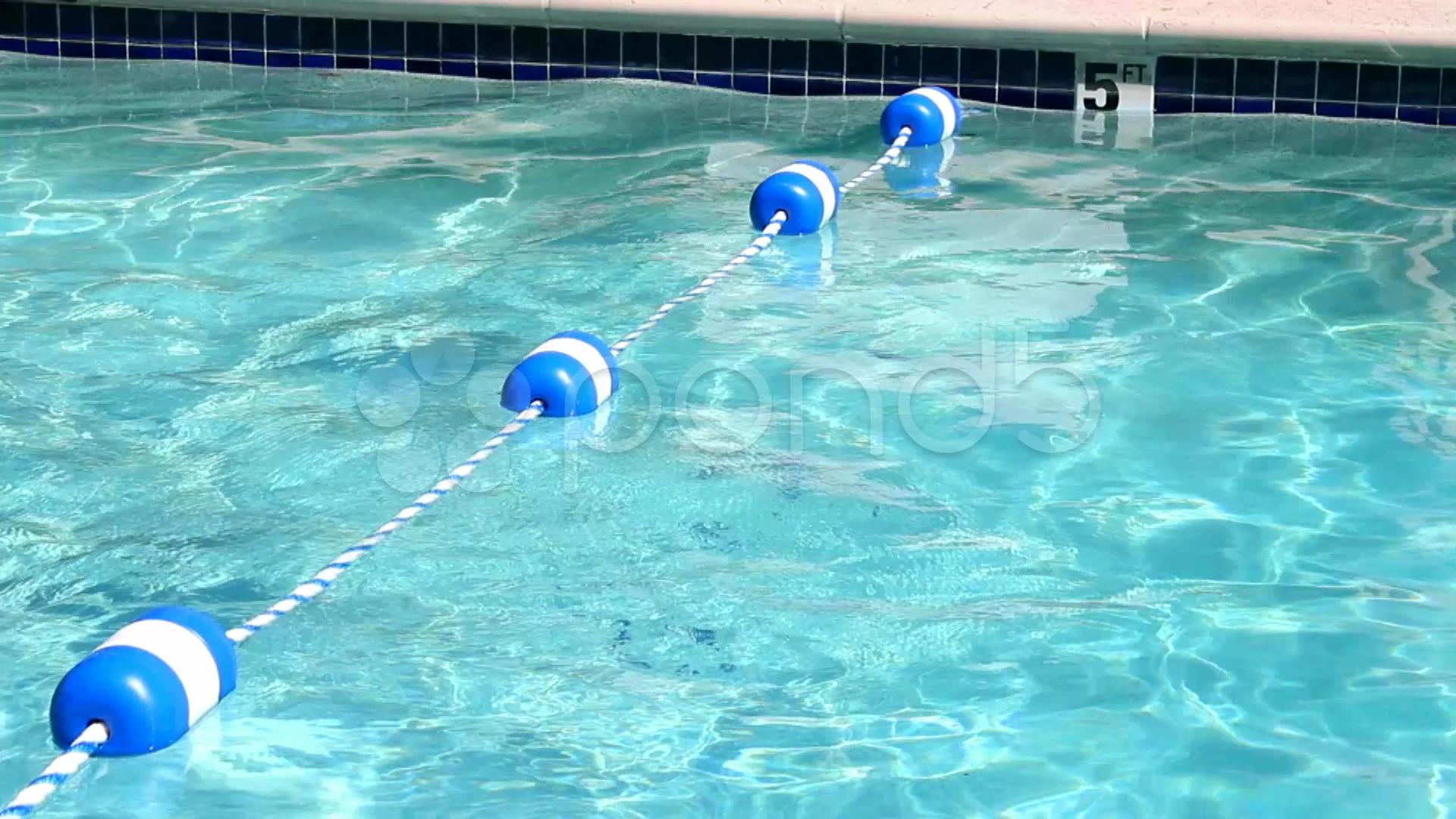 Stock Video Swimming Pool Safety Rope Divider 8522369