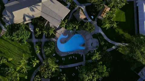 Swimming pool shaped like a whale. Stock-Footage 162084152