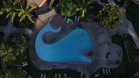 Swimming pool shaped like a whale. 動画素材 162084186