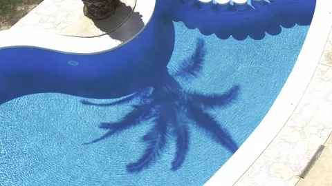 Swimming pool side with palm tree shadow on blue water surface. Top view. Summer Stock Footage 271666523