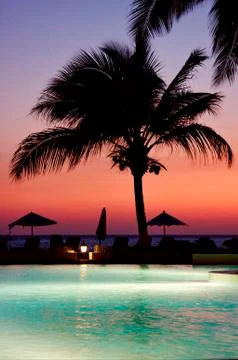Swimming pool sunset Stock Photos