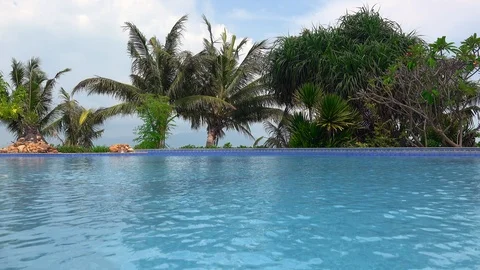 Swimming Pool Surface with Palm Trees Stock Footage 102435684