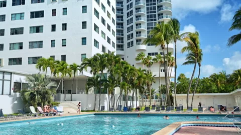 A swimming pool surrounded by deck chairs and palm trees. Resort hotel in Miami, Stock Footage 332809961
