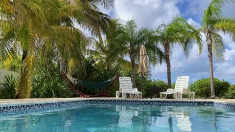 Swimming pool surrounded by palm trees. Villa with lounge area near pool. Stock Footage 164729725