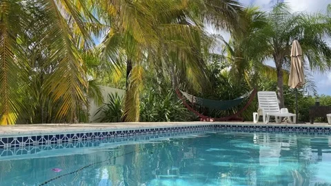 Swimming pool surrounded by palm trees. Private villa with lounge area near pool Stock Footage 164729928