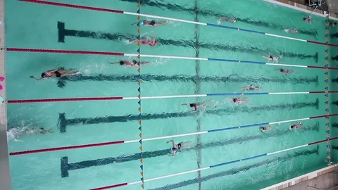 Swimming pool with swimmers Stock Footage 84070641