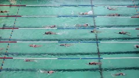 Swimming pool with swimmers Stock Footage 84070865