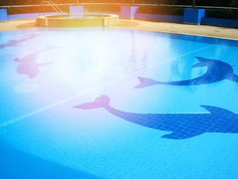 Swimming pool tiles / dolphin pattern on swimming pool water blue surface Stock Photos