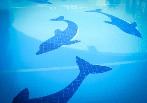 Swimming pool tiles / dolphin pattern on swimming pool water blue surface Stock Photos