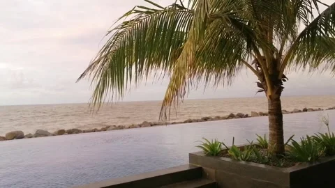 A swimming pool with tree Stock Footage 268352891