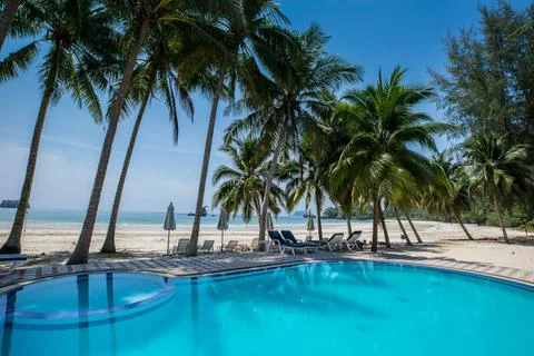 Swimming pool under coconut tree againts clear sky at tropicana Stock Photos
