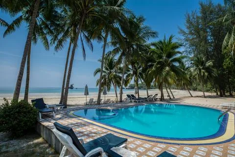 Swimming pool under coconut tree againts clear sky at tropicana Stock Photos