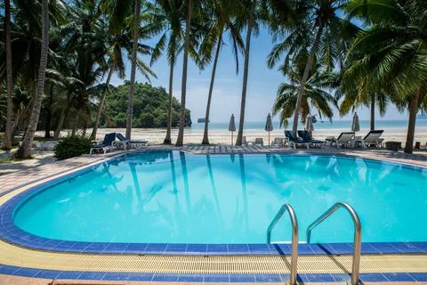 Swimming pool under coconut tree againts clear sky at tropicana Stock Photos