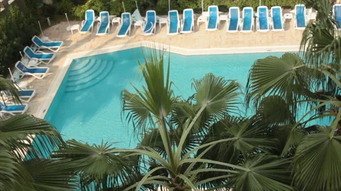 Swimming pool under palms Video stock 129048780