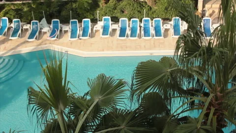 Swimming pool under thicket of palms Stock Footage 130642373